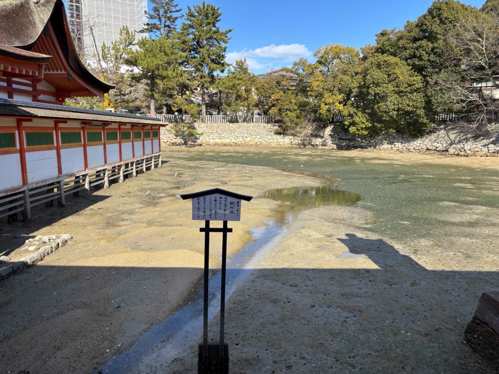 Mirror Pond appearing at low tide with crystal clear reflections