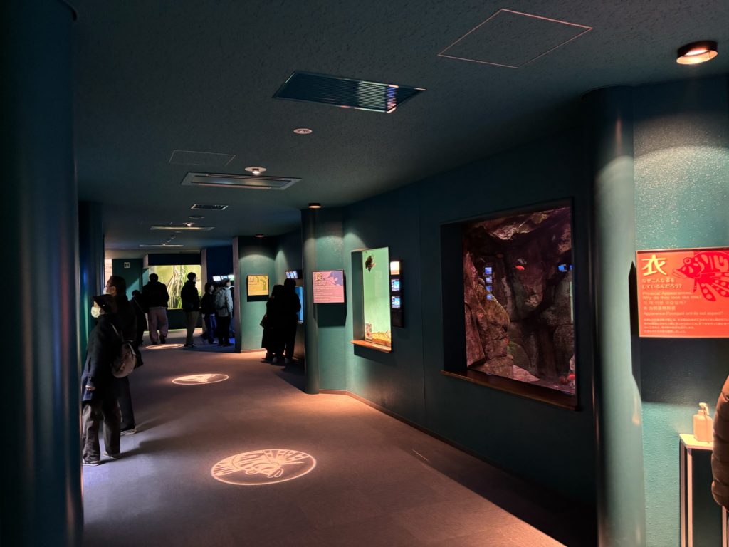 Aquarium interior showing various marine life displays