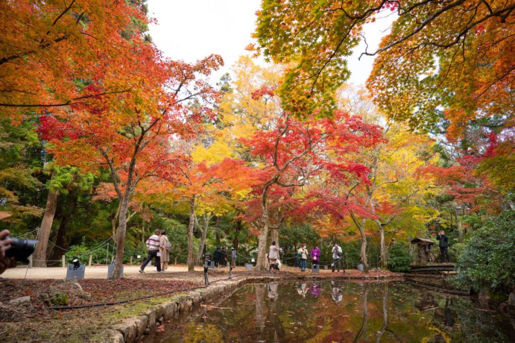 紅葉谷公園の秋の景観